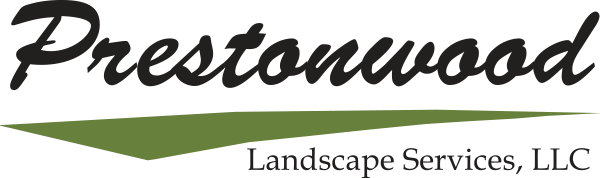 prestonwood dallas san antonio - commercial landscaping
