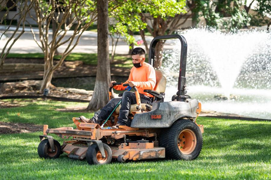 commercial landscape maintenance services dallas 