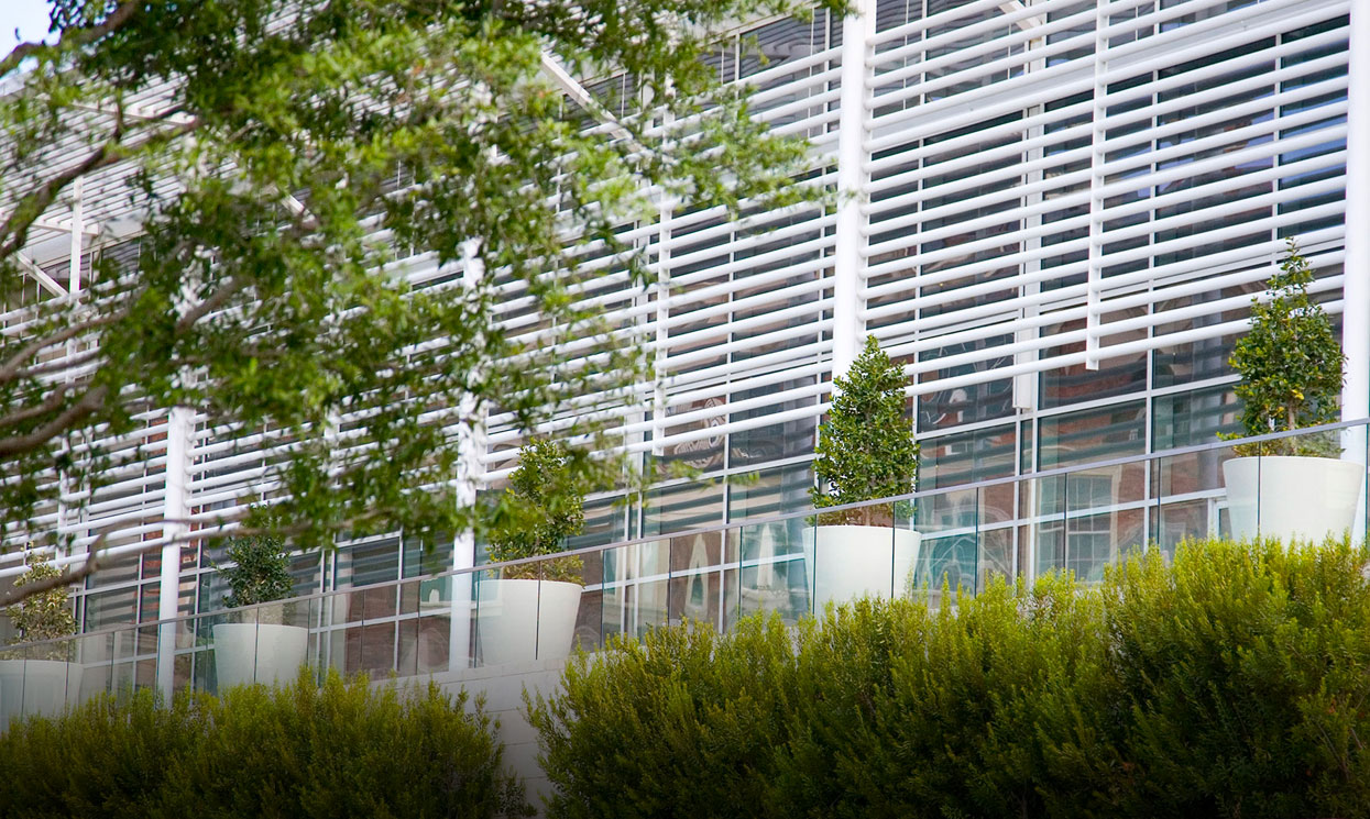 landscape construction near me