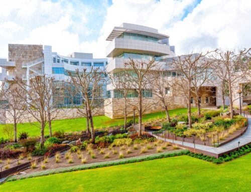 Why Commercial Landscaping Is a Strategic Investment for Dallas Property Owners