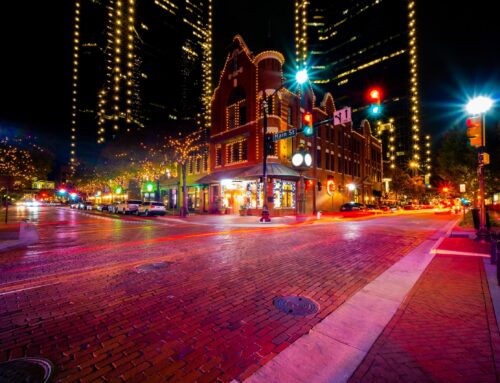 Commercial Landscape Maintenance in Dallas–Fort Worth: How to Protect Your Property Year-Round