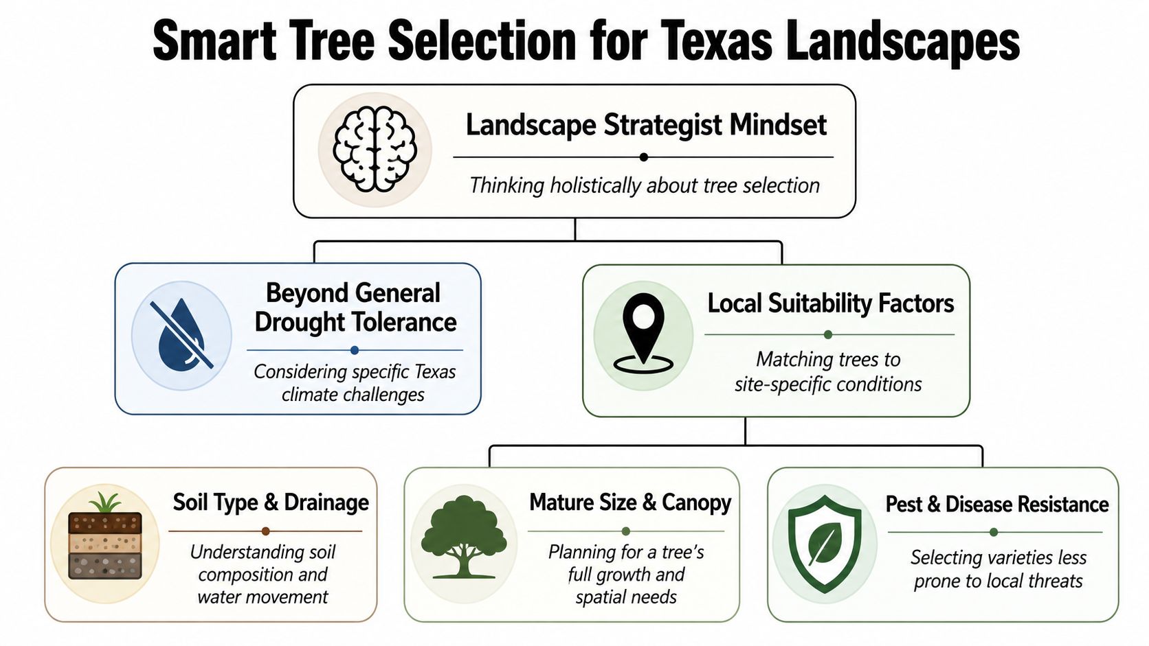 An infographic titled Smart Tree Selection for Texas Landscapes, showing key factors for choosing the right trees.