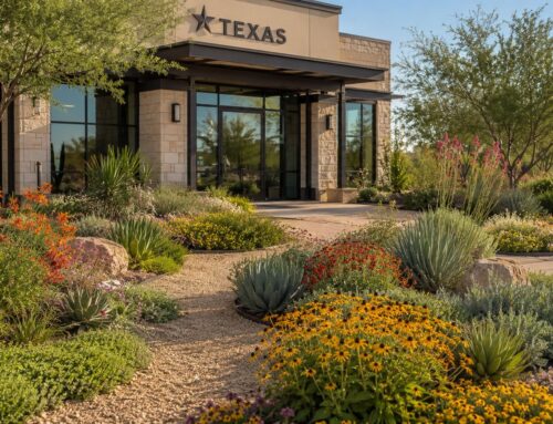 Drought Tolerant Landscape Plants: Expert Picks for Texas