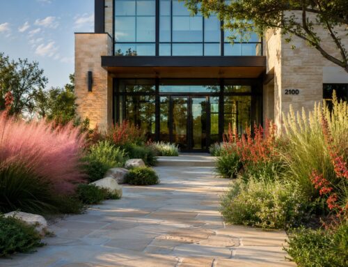 Native Plants North Texas: Commercial Property Guide