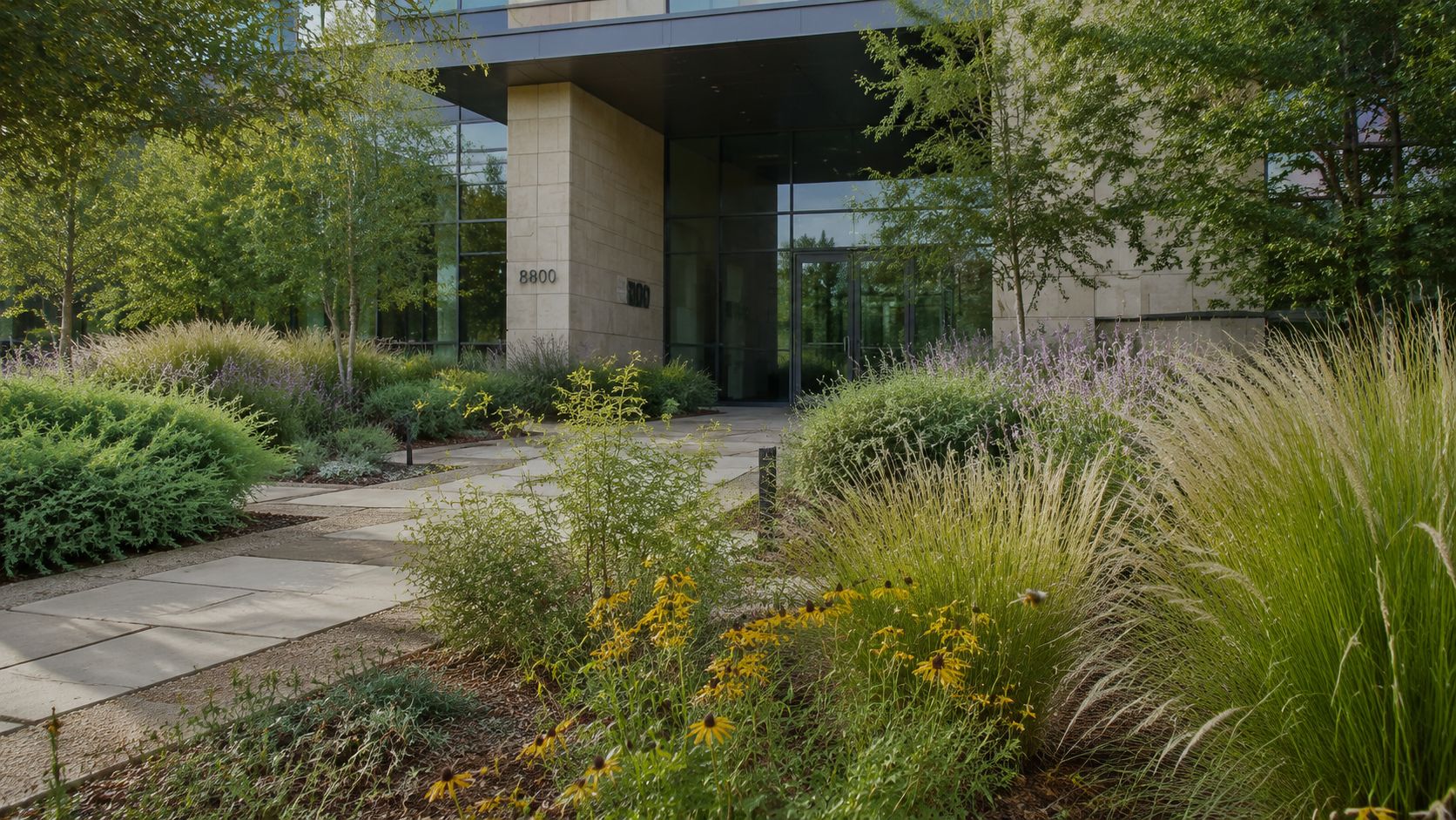 A modern office building entrance surrounded by lush landscaping with ornamental grasses and yellow flowers.