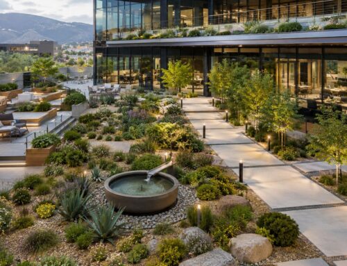 10 Office Building Landscaping Ideas for 2026