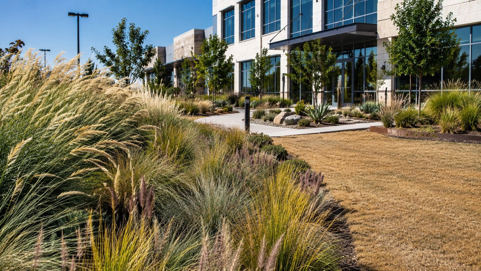 A modern commercial building surrounded by xeriscaped landscaping featuring ornamental grasses, small trees, and a concrete pathway.