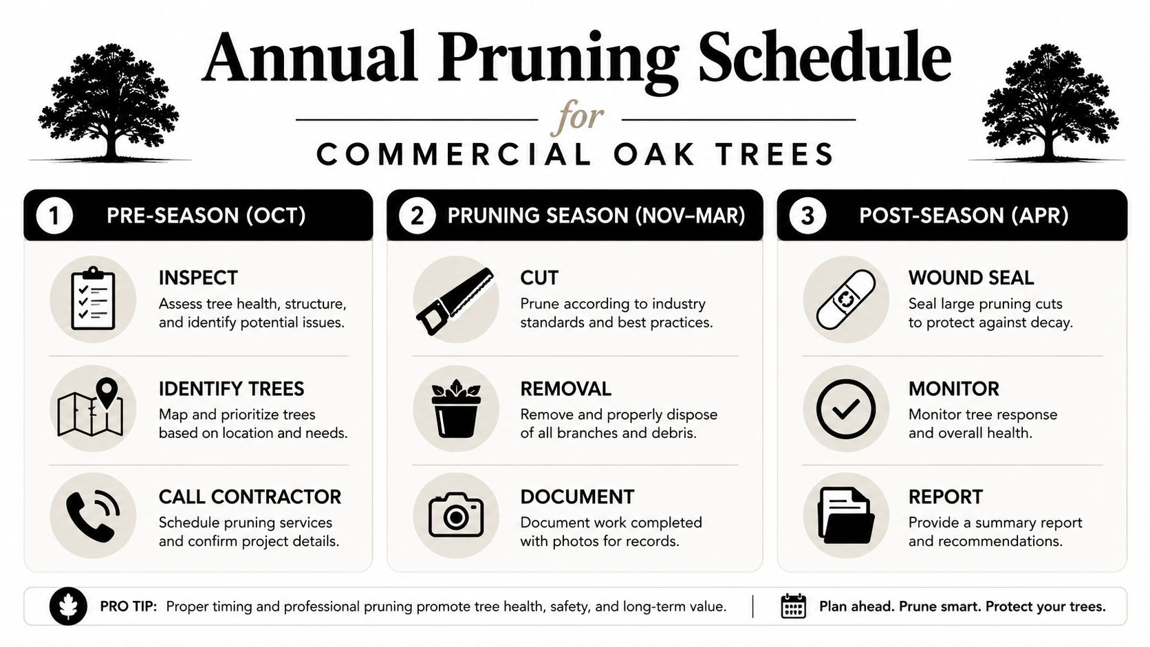 An informative chart detailing the annual maintenance and pruning schedule for commercial oak trees by month.