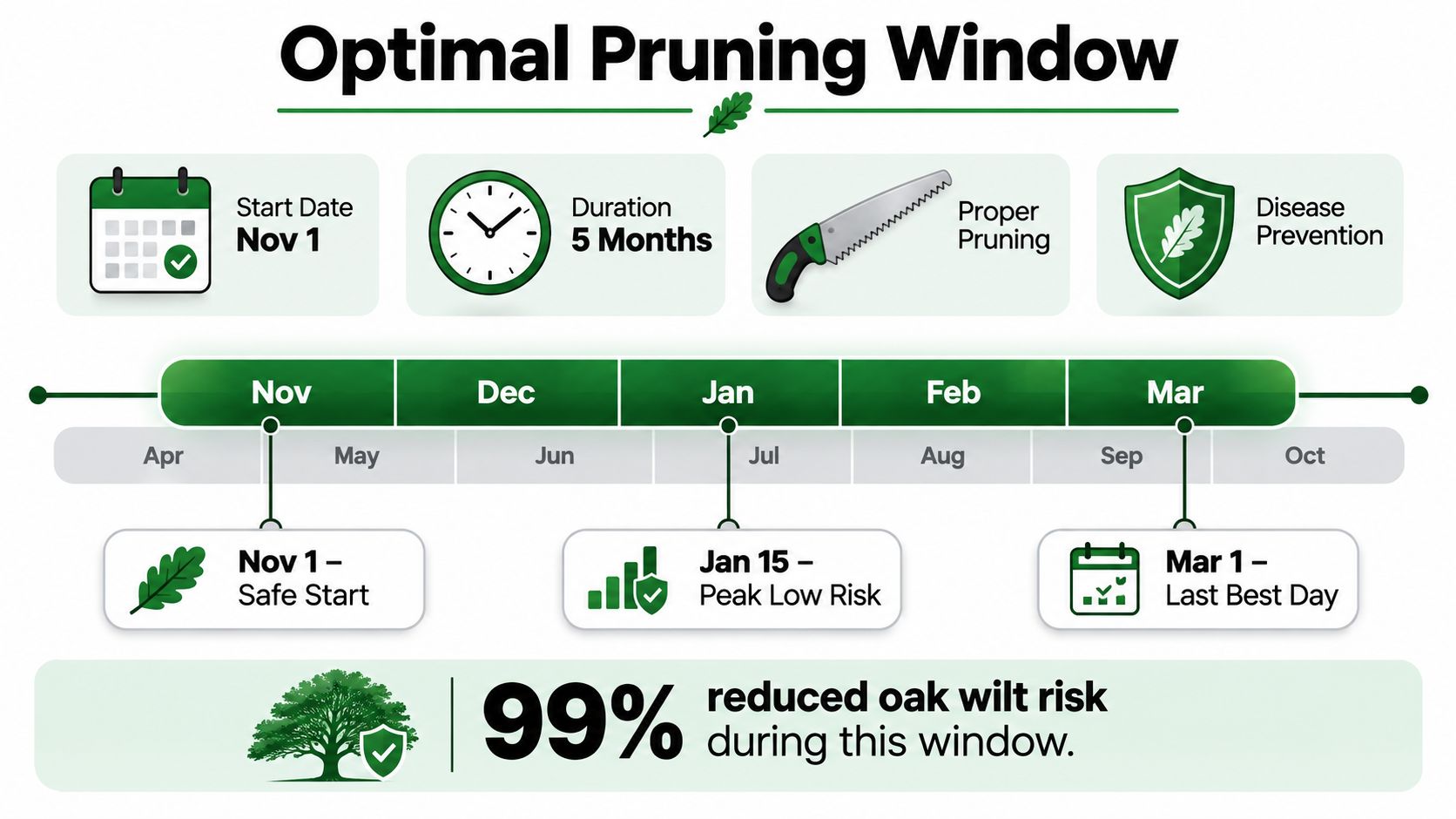 An infographic showing the best time to prune oak trees, starting November 1st for 5 months to prevent disease.
