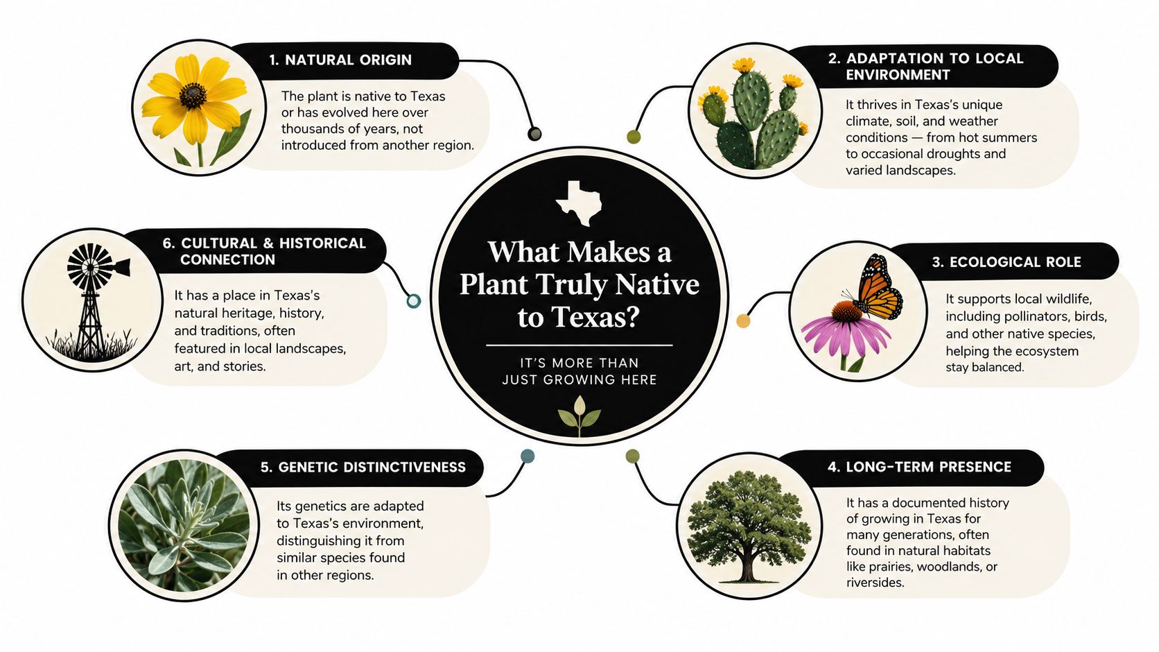 An infographic titled What Makes a Plant Truly Native to Texas with six key identifying characteristics.