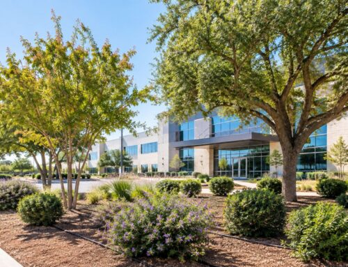 Shrubs and Trees for Landscaping in Texas
