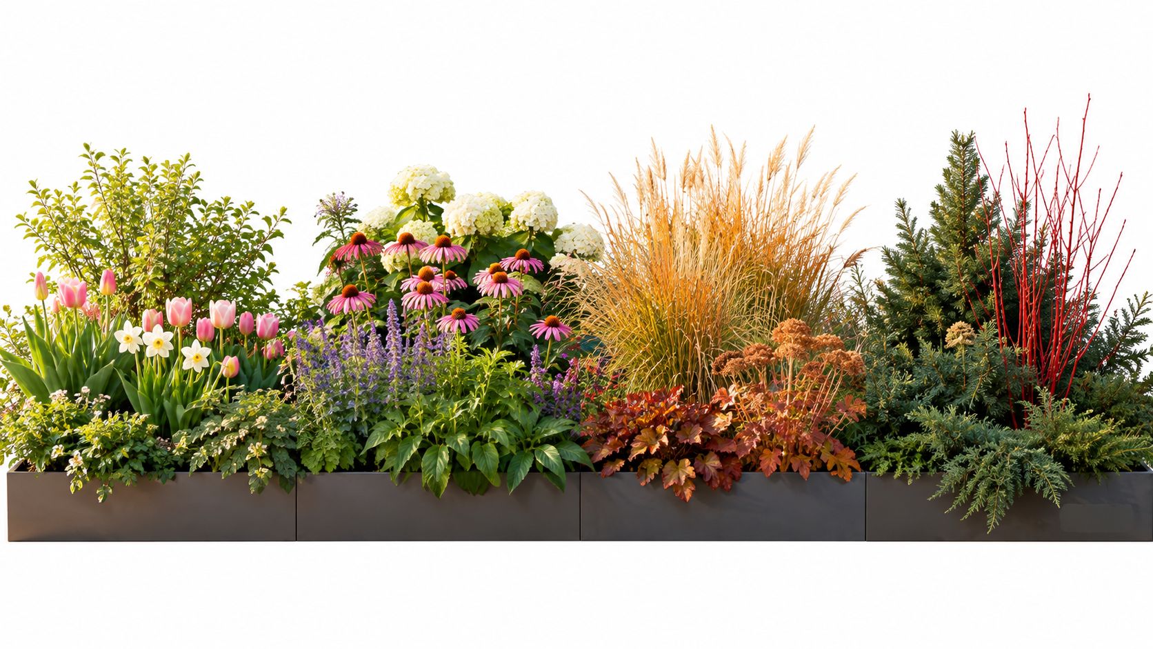 A long rectangular planter box filled with diverse colorful flowers, tall ornamental grasses, and evergreen shrubs.