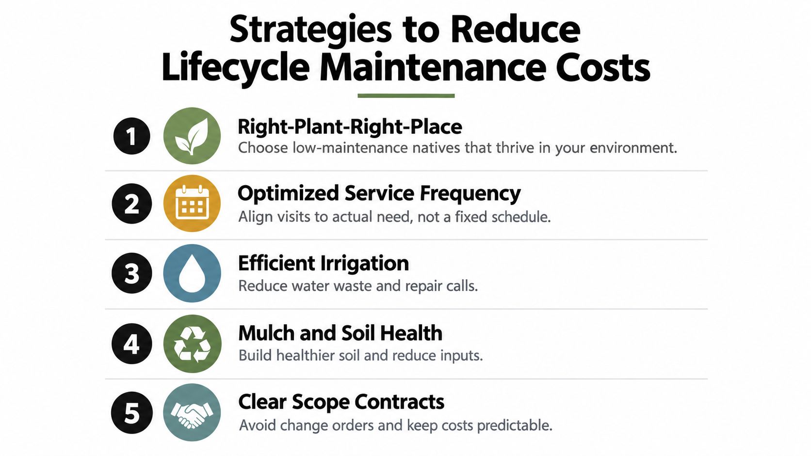 An infographic titled Strategies to Reduce Lifecycle Maintenance Costs showing five numbered steps for efficient landscape management.